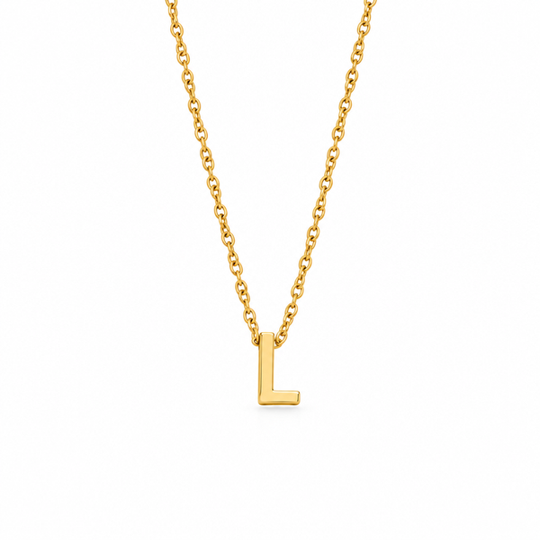 Lyla Dainty Initial Charm Necklace
