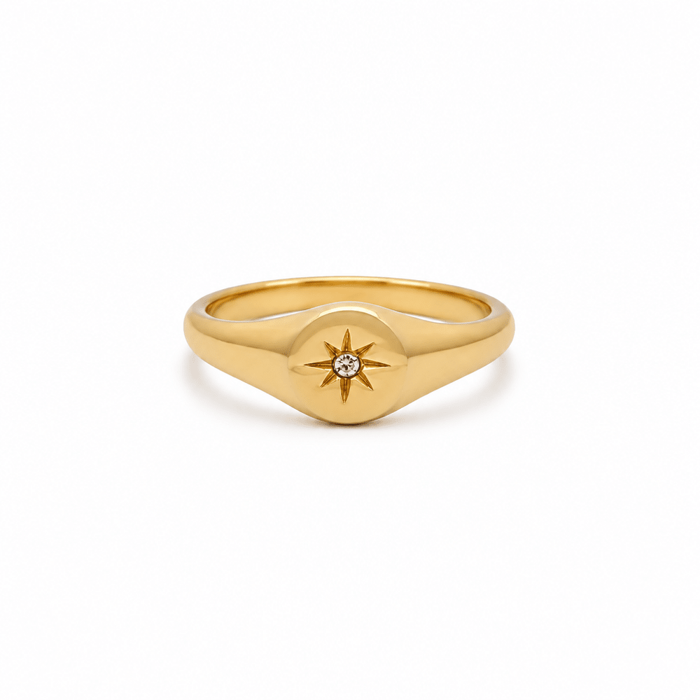 Frankie Signet Ring - CLAYCALI