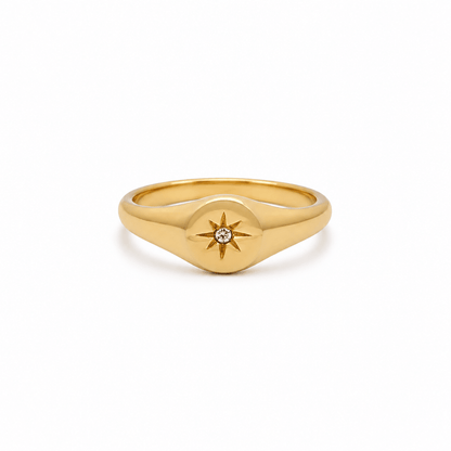 Frankie Signet Ring - CLAYCALI