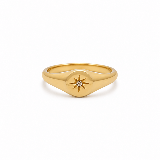 Frankie Signet Ring - CLAYCALI